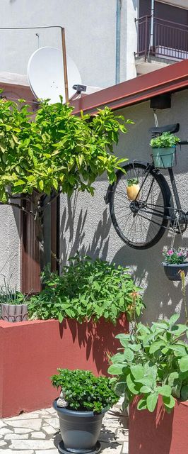 Apartman Pula - CIR766