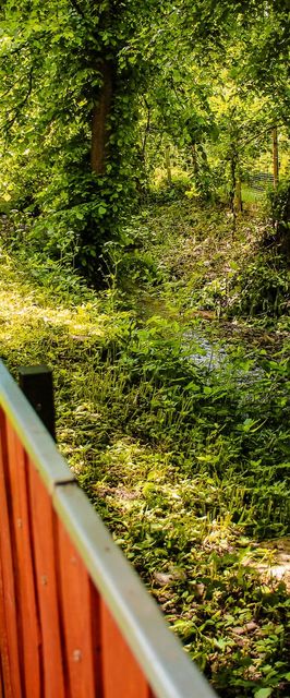 Patak Gyöngye Vendégház Szokolya