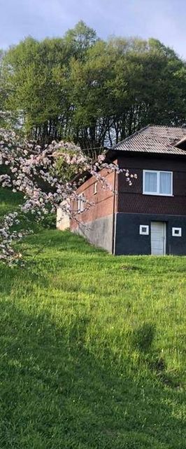 Cabana Hatere Moisei