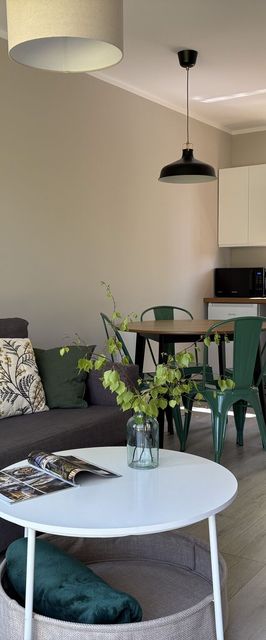 Dzika Brzoza Apartamenty Dwupoziomowe Rusinowo