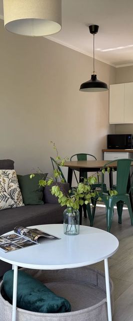 Dzika Brzoza Apartamenty Dwupoziomowe Rusinowo