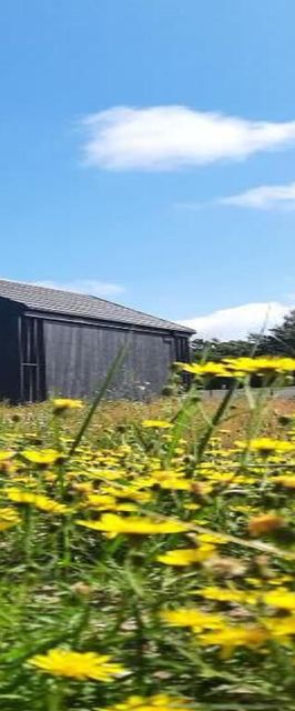 Dom na łące Jantar