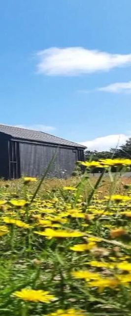 Dom na łące Jantar