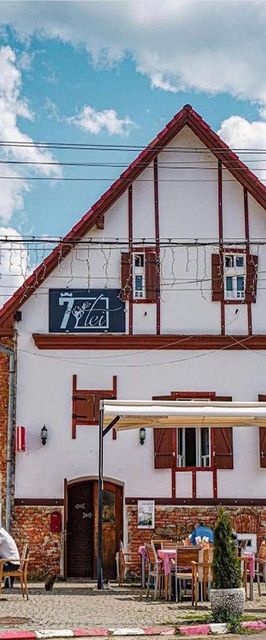 Pensiunea 7 Tei Cisnădioara