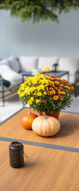 Frizzante Vendégház Badacsonytomaj