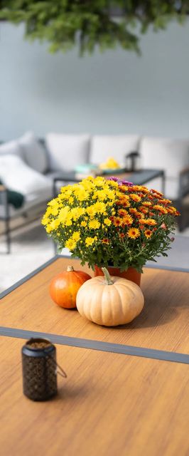 Frizzante Vendégház Badacsonytomaj