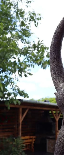 Holdvirág Vendégház Jánoshalma