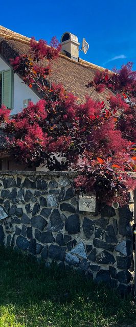 Zanzara Guesthouse Pákozd