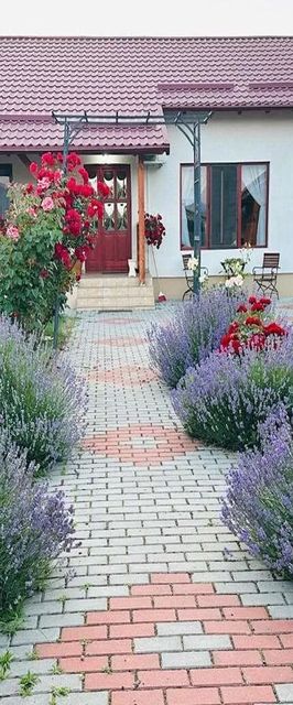 Casa de vacanță Mountain View House Brașov