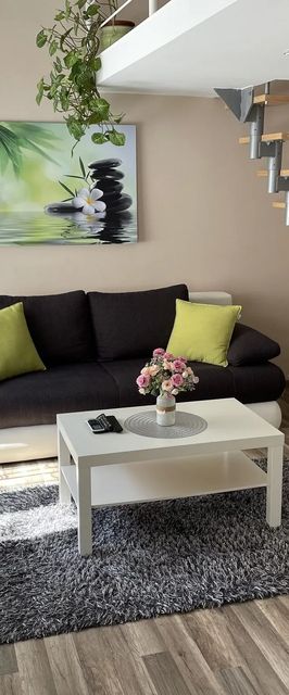 Green Island in the Dowtown Debrecen