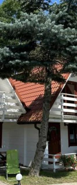 Domki Izabela Sarbinowo