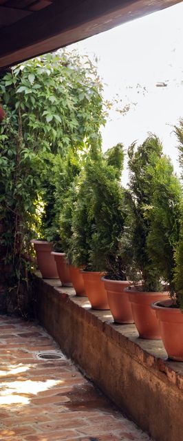 Apartament Luconi's Otopeni