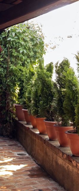 Apartament Luconi's Otopeni