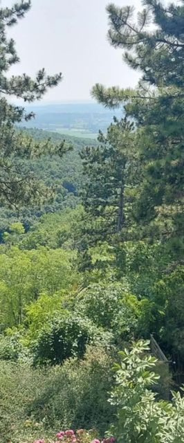 Elisa Rezi-Dencia Apartman Rezi