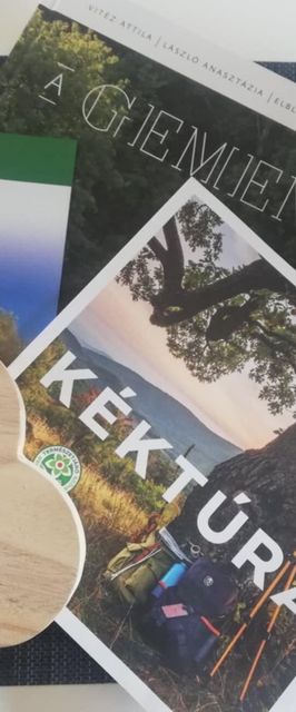 Gemenc-Lak Vendégház Baja