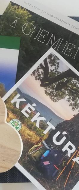 Gemenc-Lak Vendégház Baja