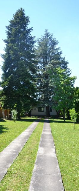 Dinnyelaposi Nyaraló 31. Békésszentandrás