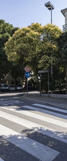 Apartman Nettle Tree Split