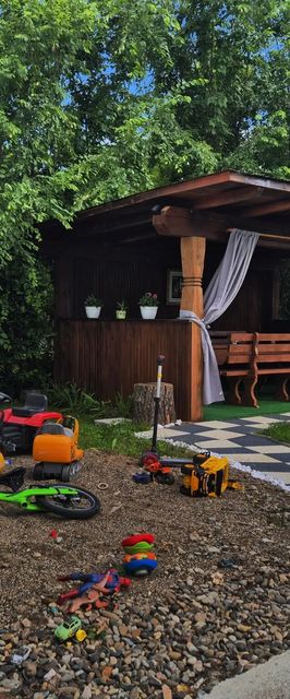 Casa La Neluțu Ceterașu Ocna Şugatag