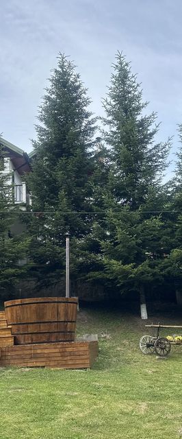 Cabana Ceahlău Sunrise Bicaz