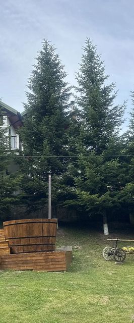 Cabana Ceahlău Sunrise Bicaz