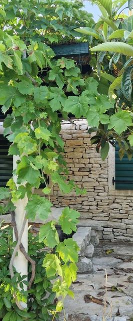 House Darin dvor Vela Luka