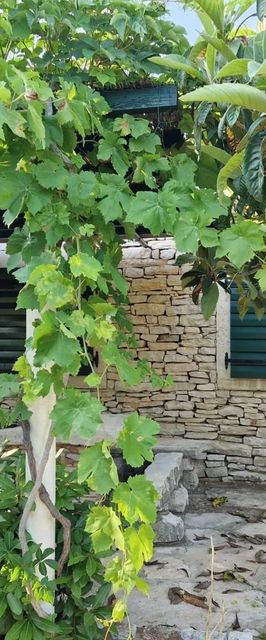 House Darin dvor Vela Luka