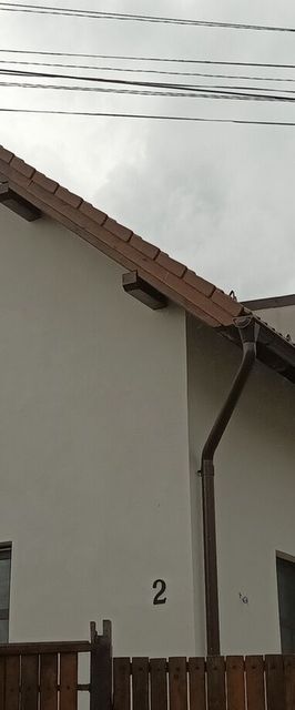 Casa Cervus Mirabilis Covasna