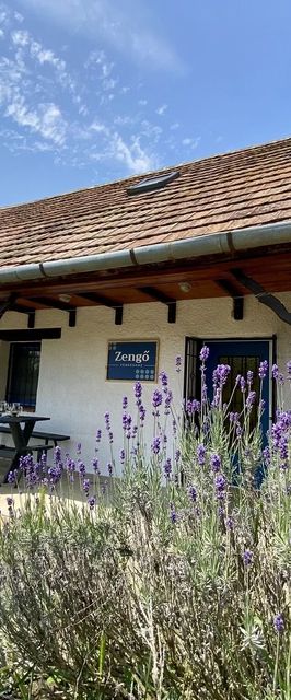 Zengő Vendégház Borgáta