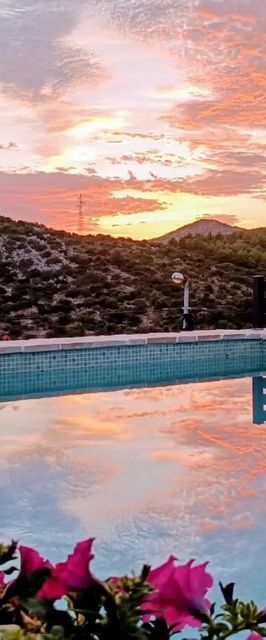 Apartments Aura Seget Vranjica