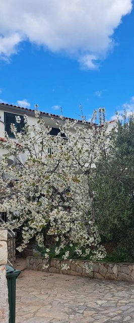 Apartment Julia Jezera