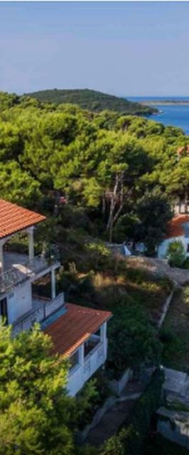 Apartments Vesna Maslinica