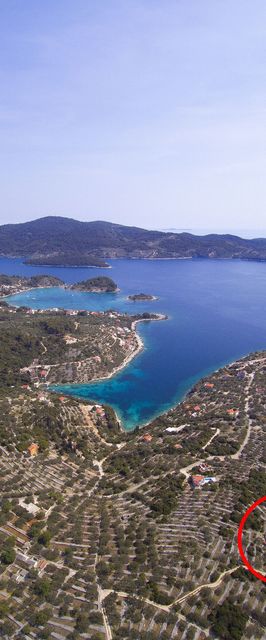 House villa Korcula Vela Luka