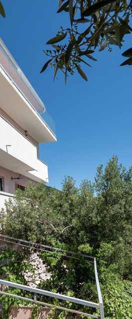 Apartments Zvonko Mimice