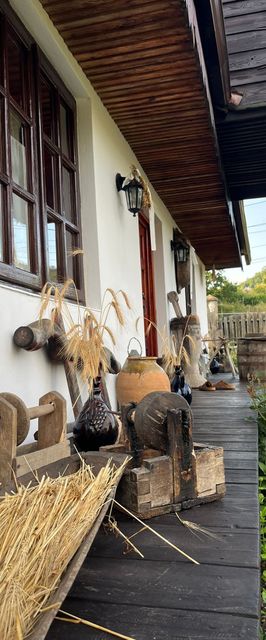 Casa Dor de Rădăcini Nemțișor