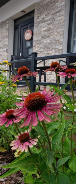 Négy Évszak Apartmanház Gyula