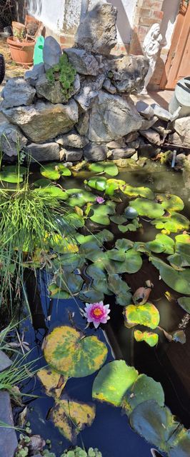 Tavirózsa Vendégház Szentes