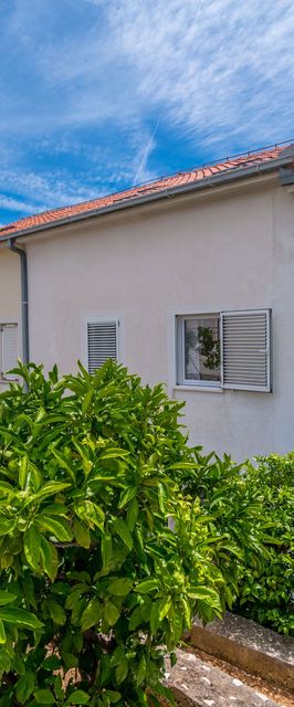 Apartments Teresa Seget Vranjica