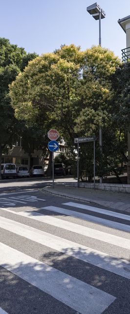 Apartment Nettle Tree Split