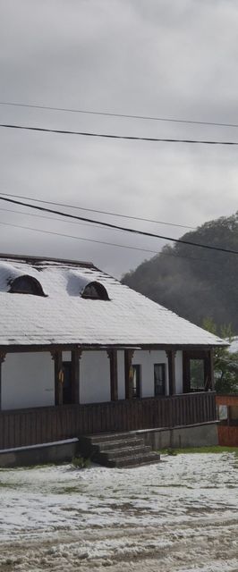 Casa Bunicilor Ciocanu