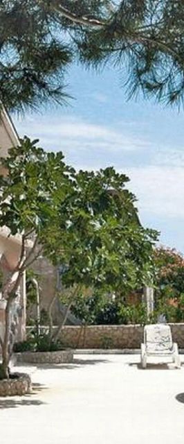 Apartmanok Parkolóhellyel Vir - Lozice, Vir - 21047 Vir - Lozice