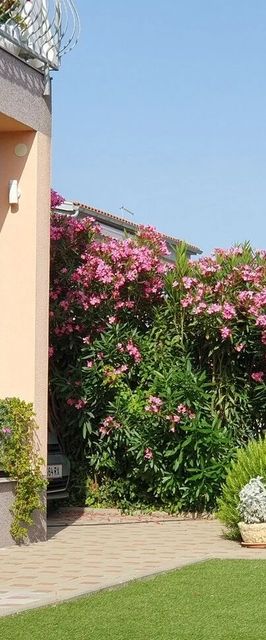 Apartmanok Parkolóhellyel Tribunj, Vodice - 23680 Tribunj