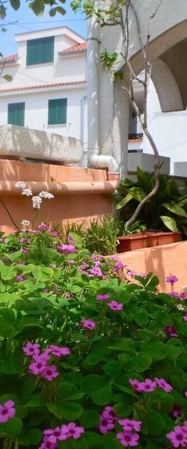 Apartmanok A Tenger Mellett Lukoran, Ugljan - 23830 Lukoran