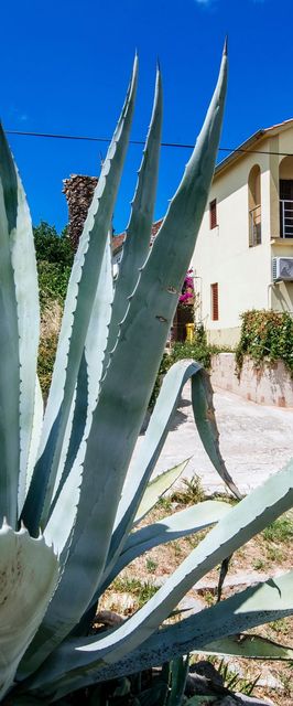 Apartmanok Parkolóhellyel Sali, Dugi Otok - 24032 Sali