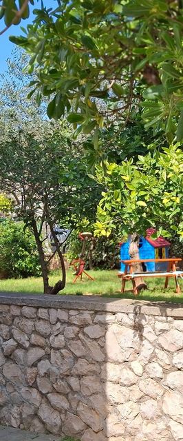 Apartmanok Parkolóhellyel Sveti Filip I Jakov, Biograd - 24057 Sveti Filip I Jakov