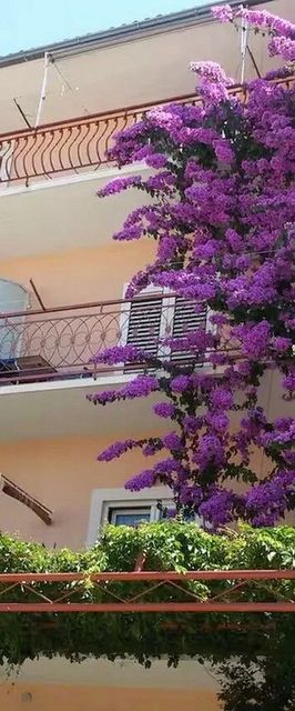 Apartmanok Parkolóhellyel Makarska - 24071