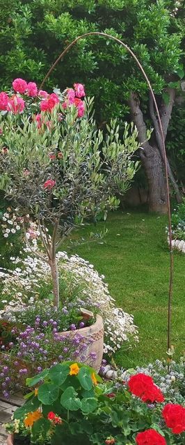 Apartmanok Parkolóhellyel Lopar, Rab - 24156 Lopar