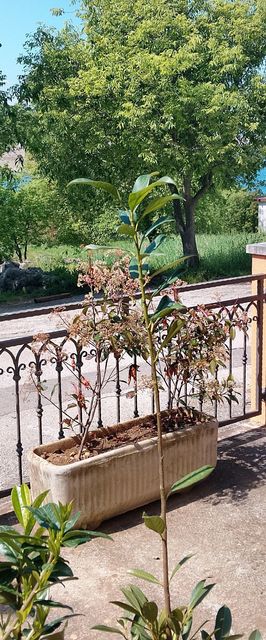 Apartmanok Parkolóhellyel Rovanjska, Paklenica - 24348 Rovanjska