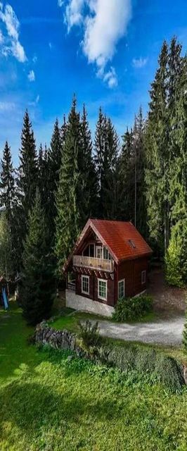 Forest Home Relax Borzont