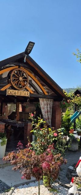 Casa Mary Flutar Moisei
